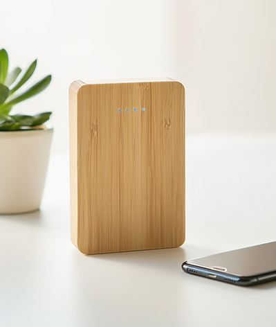 Bamboo Power Bank